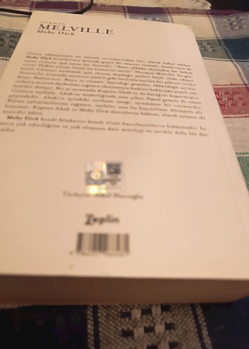 Herman Melville - Moby Dick Romanı - Görsel 2