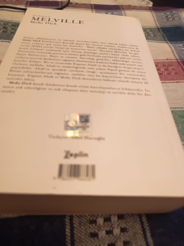 Herman Melville - Moby Dick Romanı - Görsel 2