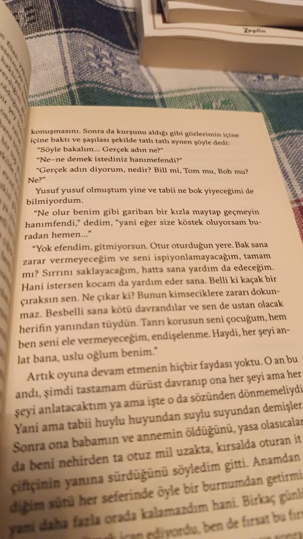 Mark Twain - Huckleberry Finn'in Maceraları - Görsel 2