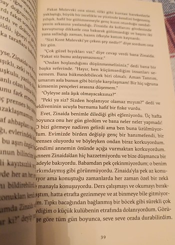 İlk Aşk - Ivan Turgenyev - Görsel 2