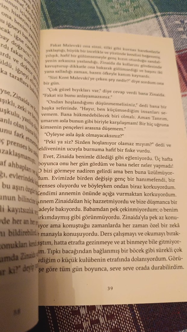 İlk Aşk - Ivan Turgenyev - Görsel 2