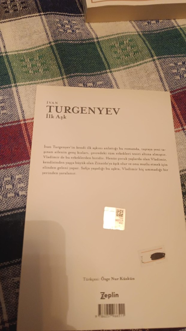 İlk Aşk - Ivan Turgenyev - Görsel 3