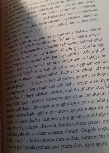 David Constantine - Midland Oteli'nde Çay Kitabı - Görsel 3
