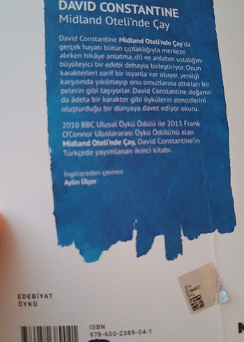 David Constantine - Midland Oteli'nde Çay Kitabı - Görsel 2