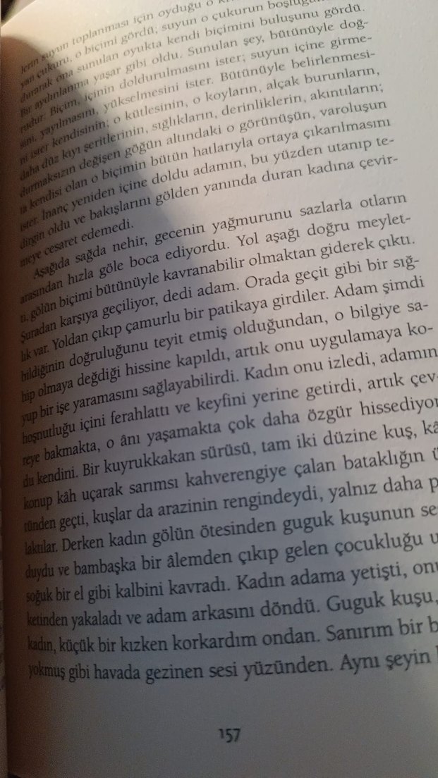 David Constantine - Midland Oteli'nde Çay Kitabı - Görsel 3