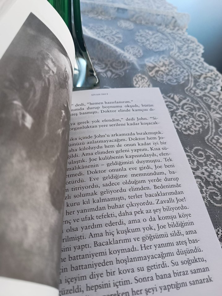 Siyah İnci - Anna Sewell - Görsel 2