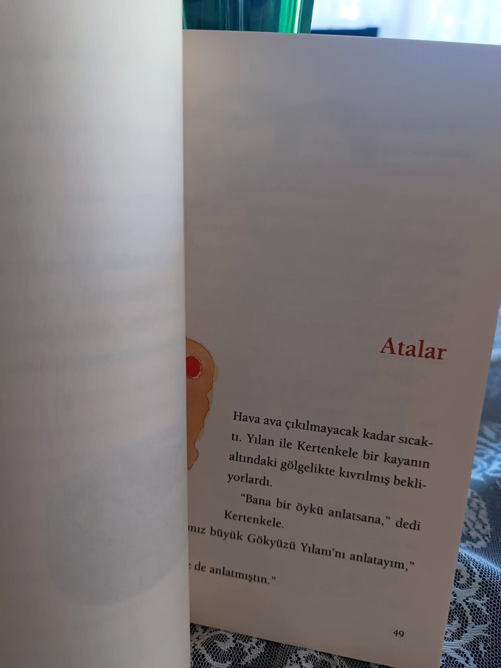 Yılan ile Kertenkele - Joy Cowley, Gavin Bishop - Görsel 2