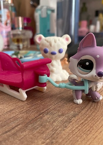 lps miniş husky mor köpek