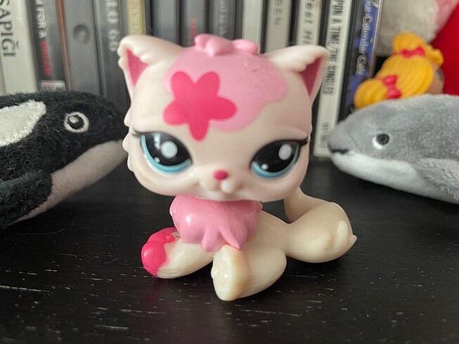 lps persian miniş kedi