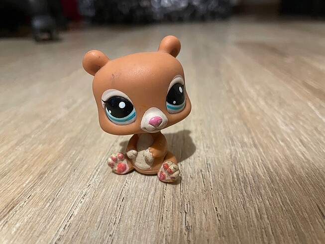 lps miniş ayı