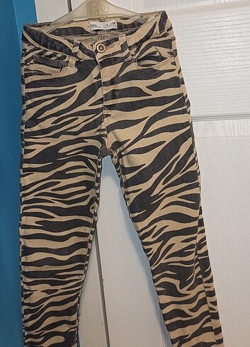 Zara kids zebra kot