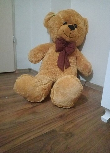 Pelus ayı 