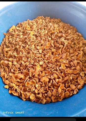 kuru kayısı