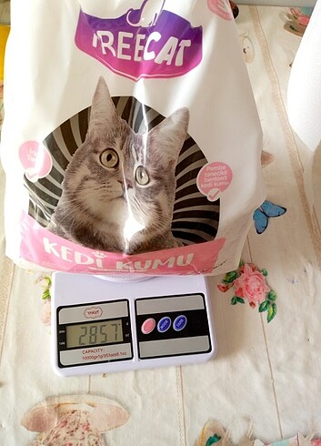Kedi maması 