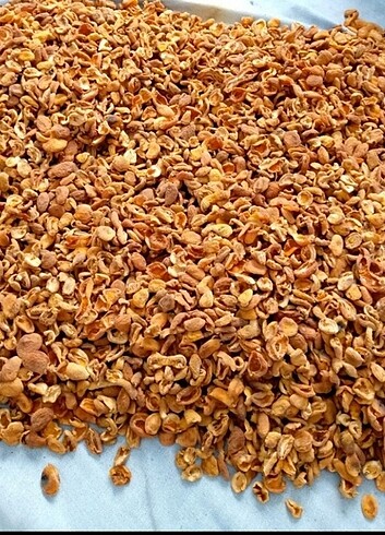 Kuru kayısıı