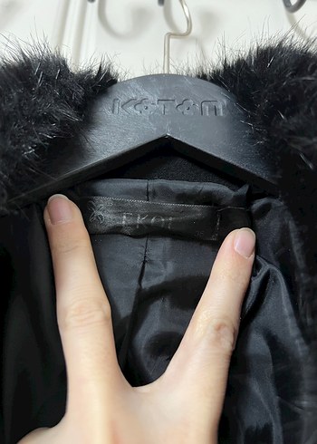 Ekol kaban - Görsel 4