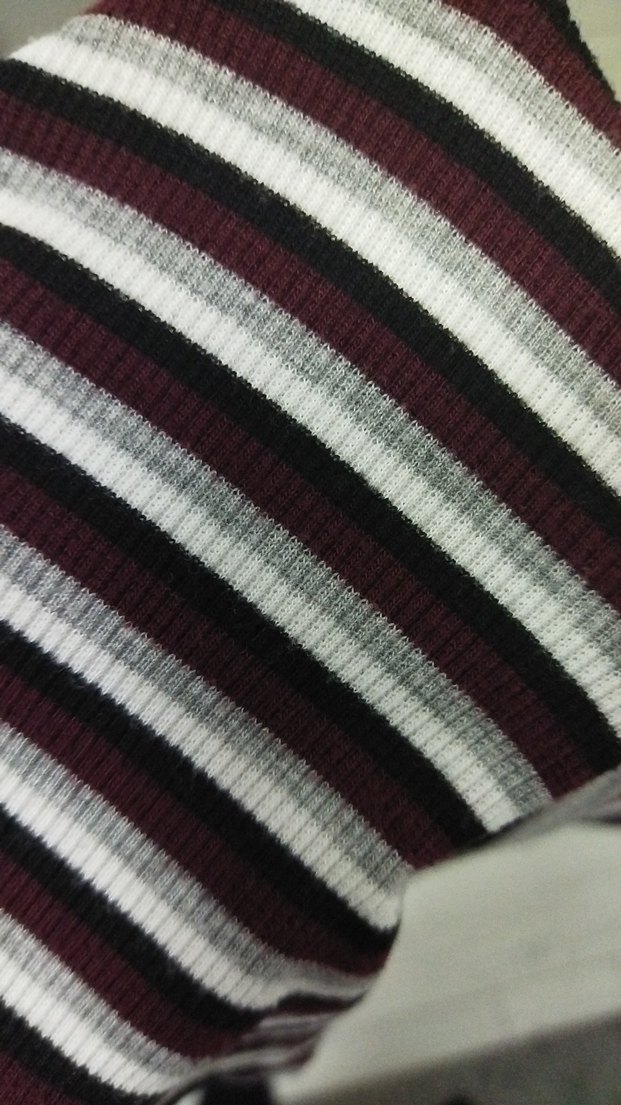 Çizgili Crop Top - Görsel 2