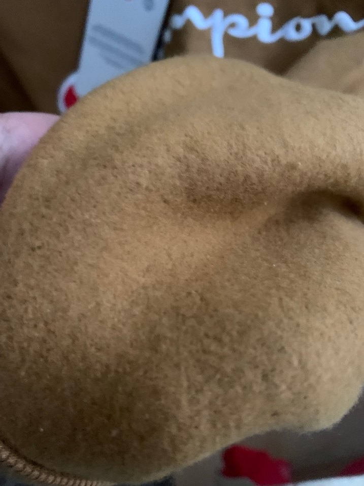 Champion içi polarlı sweatshirt - Görsel 4