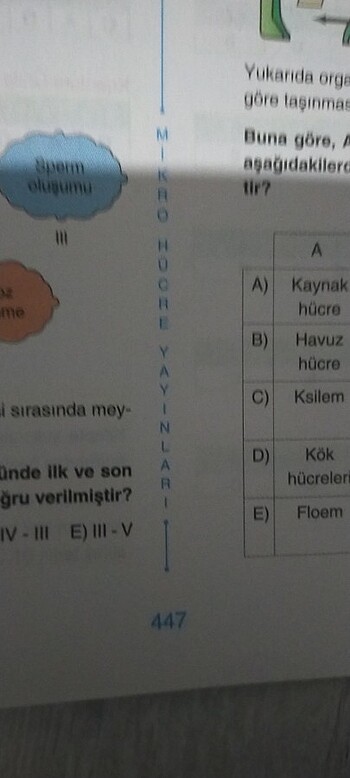  Beden Renk Biyoloji mikro hücre yayınları ayt tyt bı arada