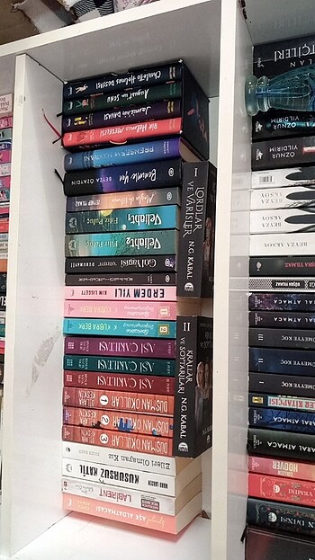  Beden Renk Kitap-roman