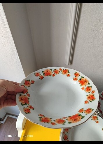 Beden çeşitli Renk Yemek tabagi