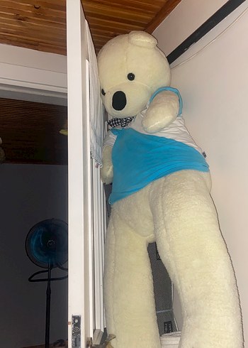 Beyaz Peluş Oyuncak Ayı