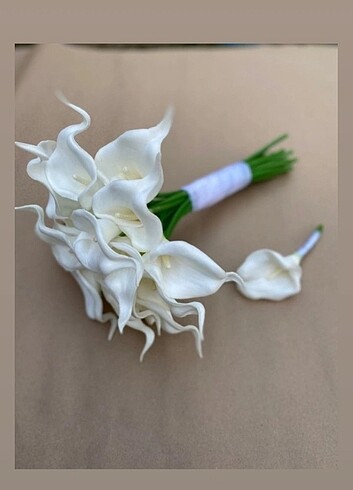 Gelin çiçeği 