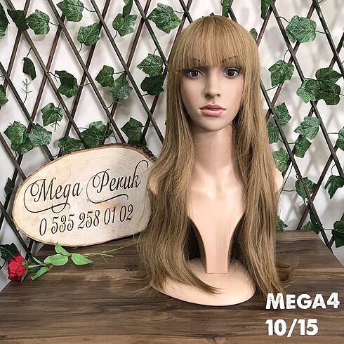 MEGA4/10-15