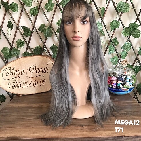 MEGA12-171