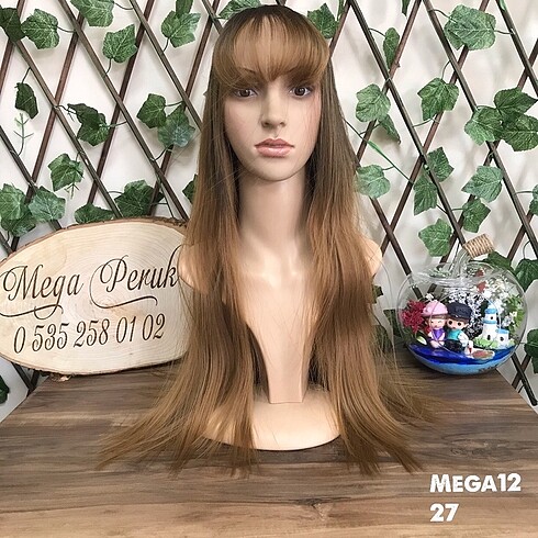 Mega12/27