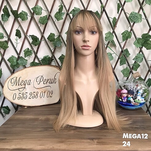 Mega12/24