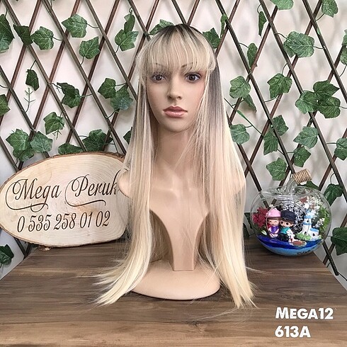 Mega12-613A