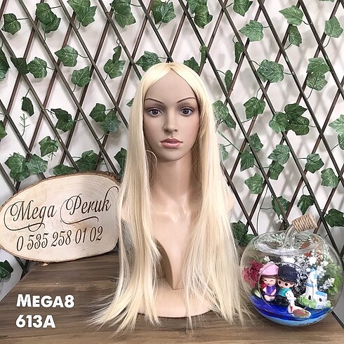 Mega8/613A