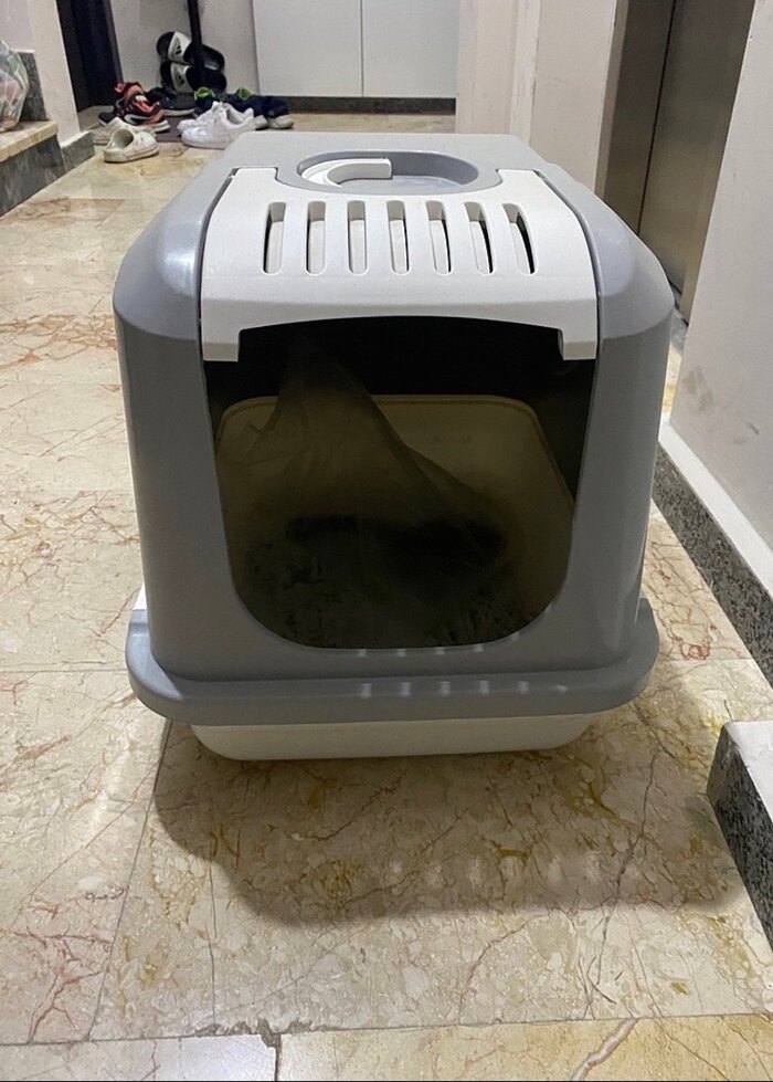 TOPLU KEDİ ÜRÜNLERİ - Görsel 5