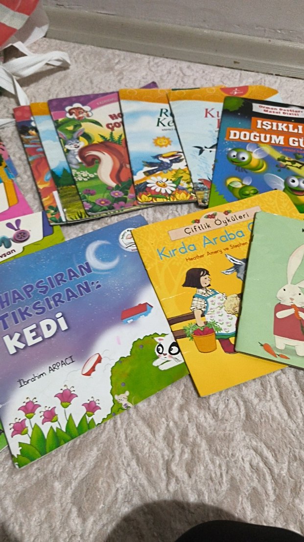 Çocuk Kitapları Seti çoklu çocuk kitapları okul öncesi23 kitap - Görsel 4