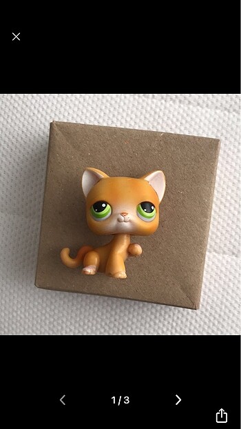 Lps Paw up Shorthair
