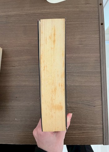 Yabancı - Özlem Yıldırım - Görsel 2