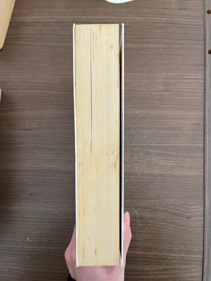 Kelebeği Öldürmek - Beyza Aksoy - Görsel 2