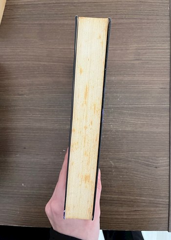 Gül Yarası - Durumavii'den roman - Görsel 4