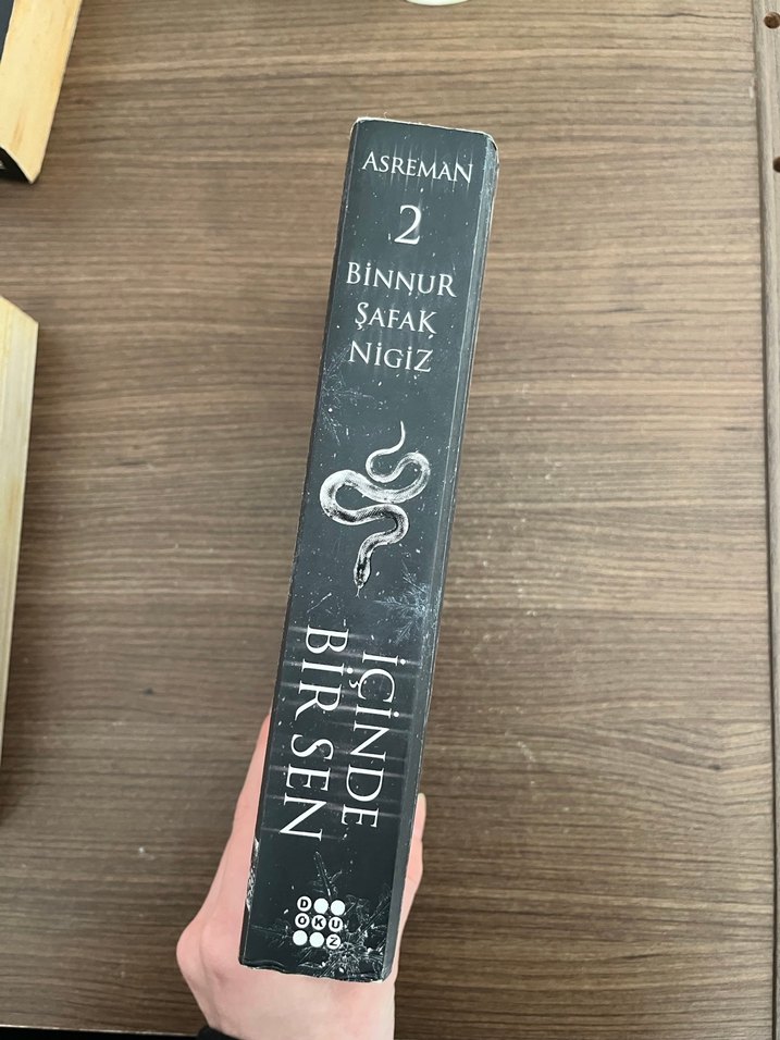 İçinde Bir Sen - Binnur Şafak Nigiz - Görsel 2