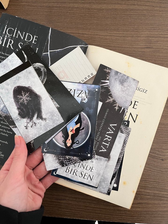 İçinde Bir Sen - Binnur Şafak Nigiz - Görsel 4