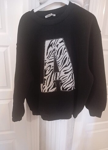 Sweatshirt (2)