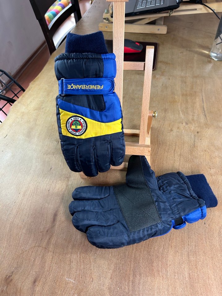 Fenerbahçe Nakışlı Mavi Erkek Kayak Eldiveni - Görsel 3