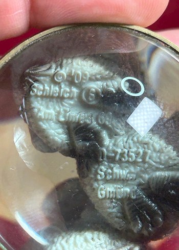 Schleich Penguen Koleksiyon Pvc Nadir Bu - Görsel 4