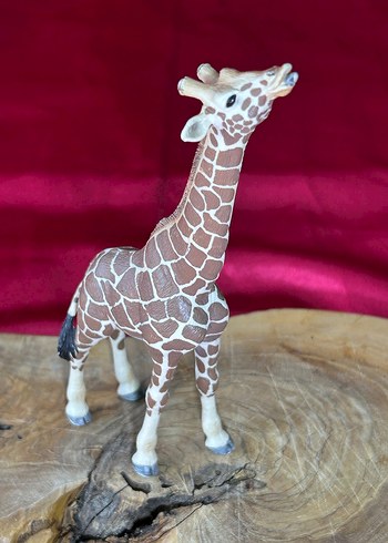 Schleich Erkek Zürafa Figür Orjinal PVC - Görsel 3