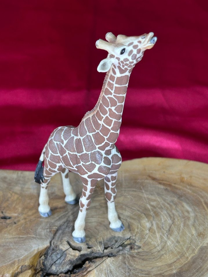 Schleich Erkek Zürafa Figür Orjinal PVC - Görsel 3