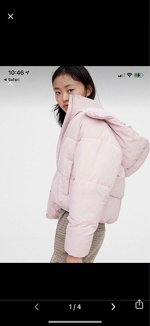 pull and bear mont