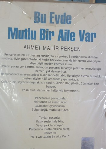 Bu Evde Mutlu Bir Aile Var - Ahmet Mahir Pekşen - Görsel 2