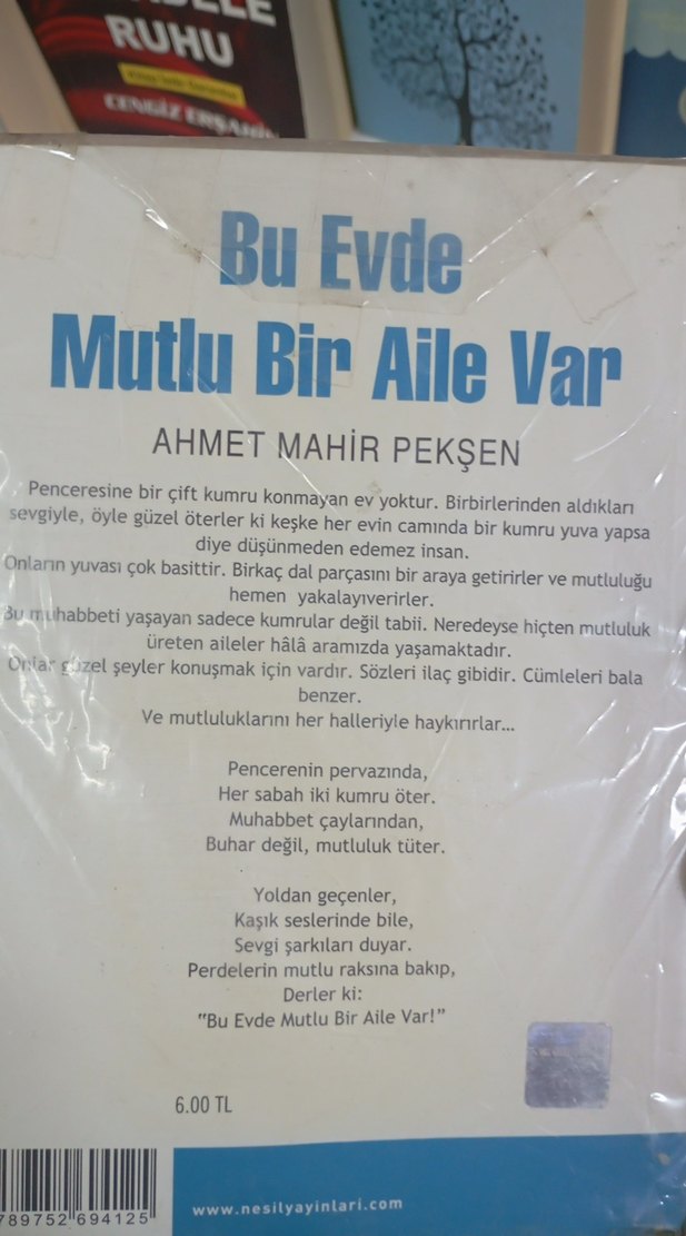 Bu Evde Mutlu Bir Aile Var - Ahmet Mahir Pekşen - Görsel 2