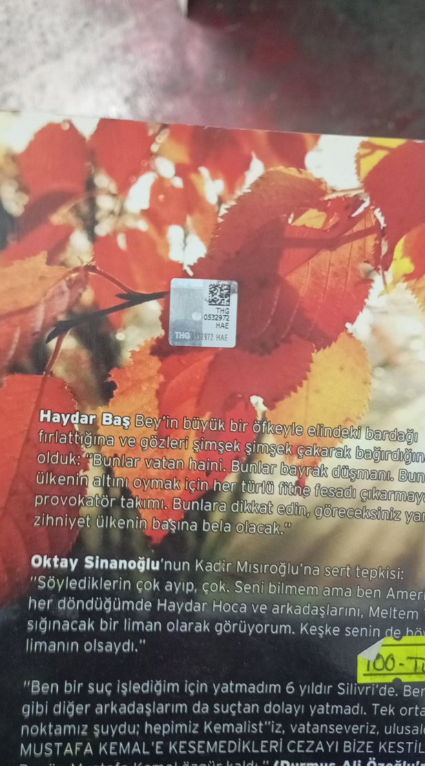 Yılların Ardından - Muharrem Bayraktar - Görsel 2